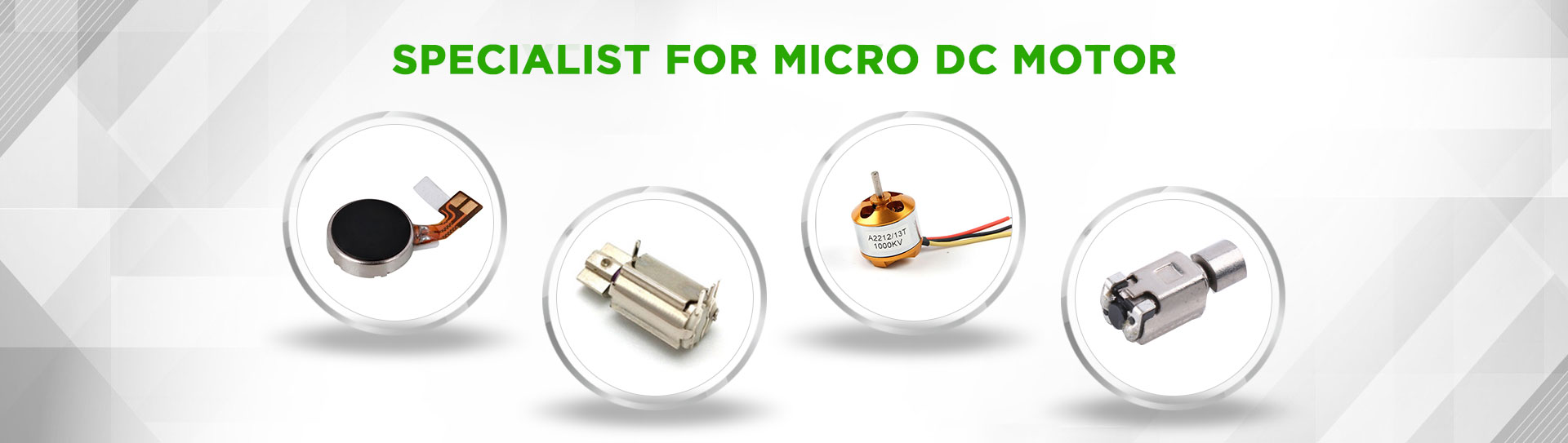 Specialist for Micro DC Motor