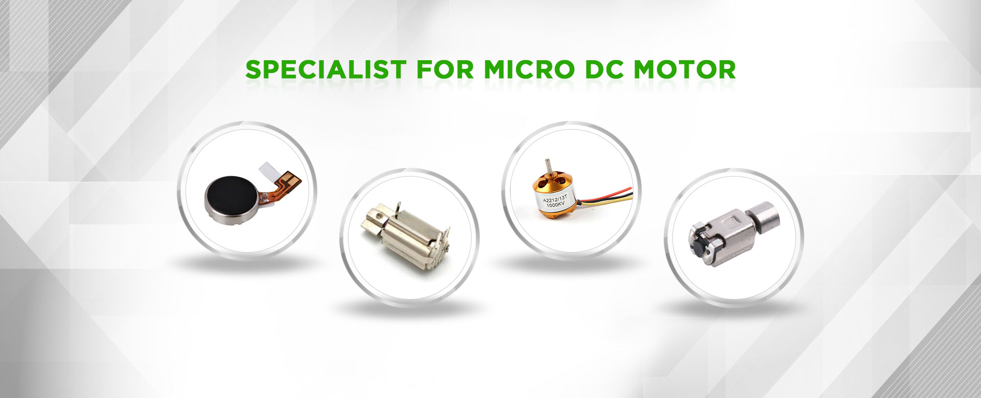 Specialist for Micro DC Motor