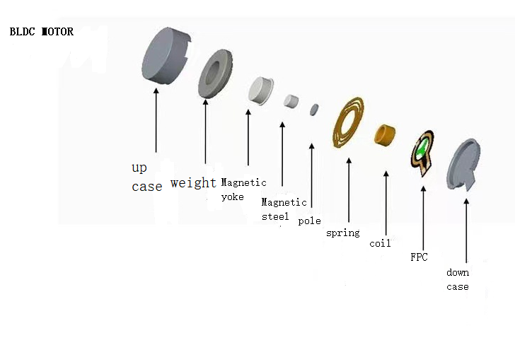 Vibration Motor Structure